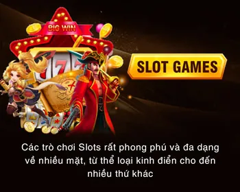 Cấp độ VIP Đồng của vswin nhà cái