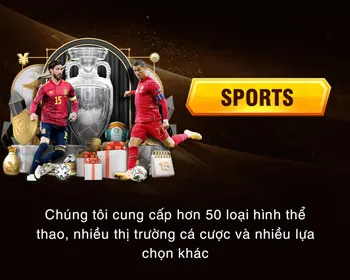 Dịch vụ hỗ trợ khách hàng của vswin nhà cái