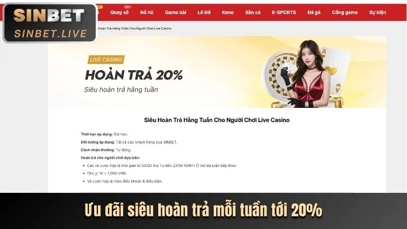 Hoàn trả thể thao vswin nhà cái